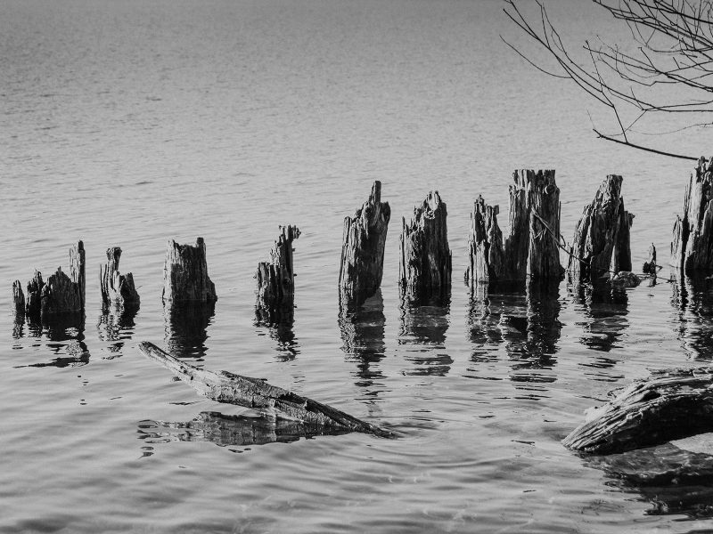 Alte Piloten am Ufer des Traunsees