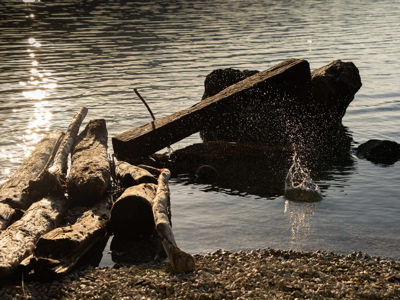 Steine und Holz am Ufer des Traunsees